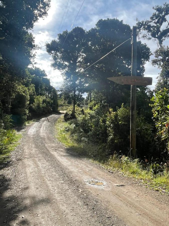 La Bromelia/Cabana De Montana, Cerro De La Muerte. Villa Cartago Ngoại thất bức ảnh