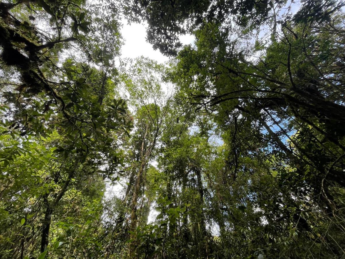 La Bromelia/Cabana De Montana, Cerro De La Muerte. Villa Cartago Ngoại thất bức ảnh